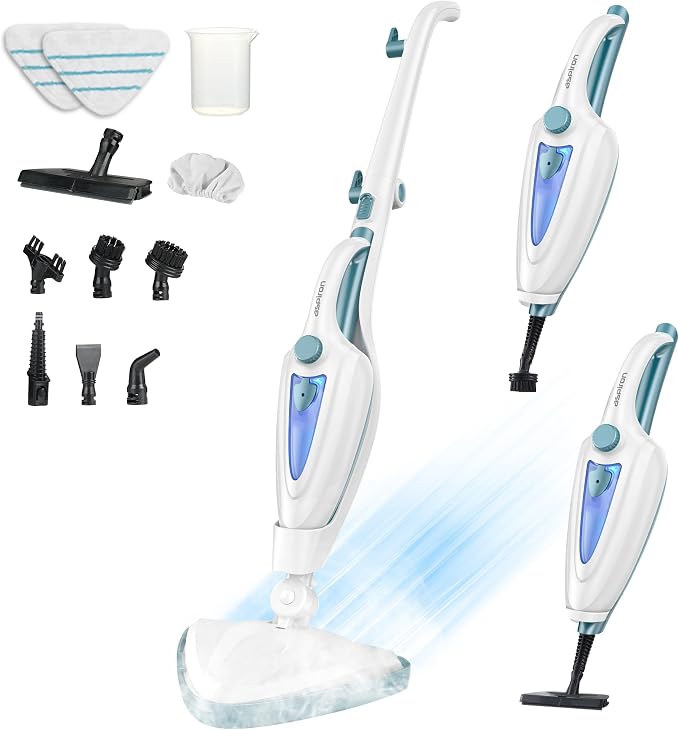 Steam Cleaners