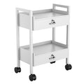 Paddie Salon Trolley Cart, Salon Tray Wooden Mobile Utility Cabinet by Paddie