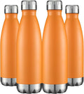 HASLE OUTFITTERS 17oz Stainless Steel Water Bottles Bulk, Vacuum Insulated by HASLEOUTFITTERS