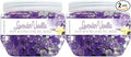 SMELLS BEGONE Odor Eliminator Gel Beads - 12 oz by SMELLSBEGONE