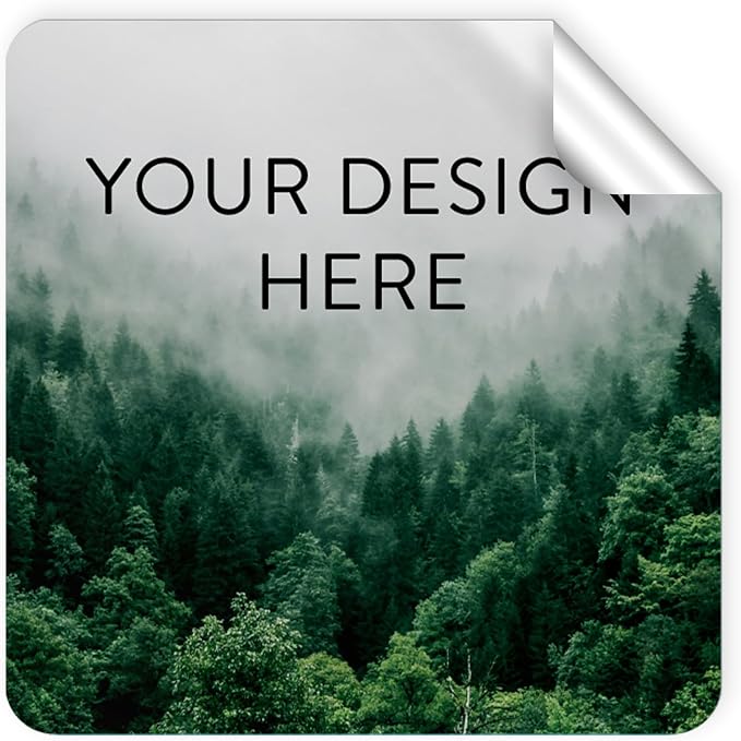 100 Custom Vinyl Stickers by DayStarCustomDesigns