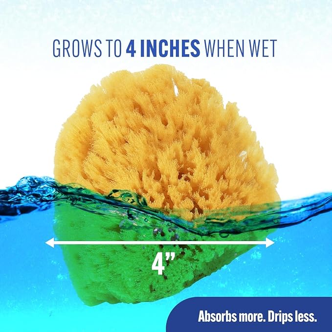 Baby Buddy Baby Bath 4in Assorted Sea Sponges, Absorbent Natural Sea Sponge - Image 3