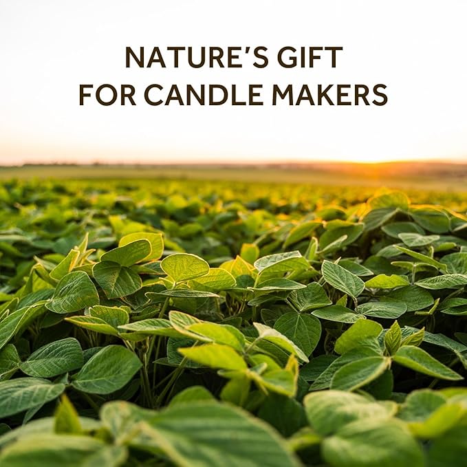 NORVENCE Soy Wax for Candle Making, Natural Soy Wax Flakes 1lb, Premium Candle - Image 2