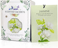 Jasmine Scented Sachet Bags by Unknown