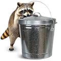 Plexon 10 Gallon Trash Can by Plexon