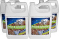 Black Diamond Stoneworks Wood & Laminate Floor Cleaner- Ready to Use Non-Toxic by BlackDiamondStoneworks