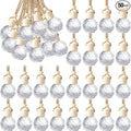 BBTO 50 Pcs Hanging Car Air Freshener Car Diffuser Bottles Empty Glass Perfume by BBTO