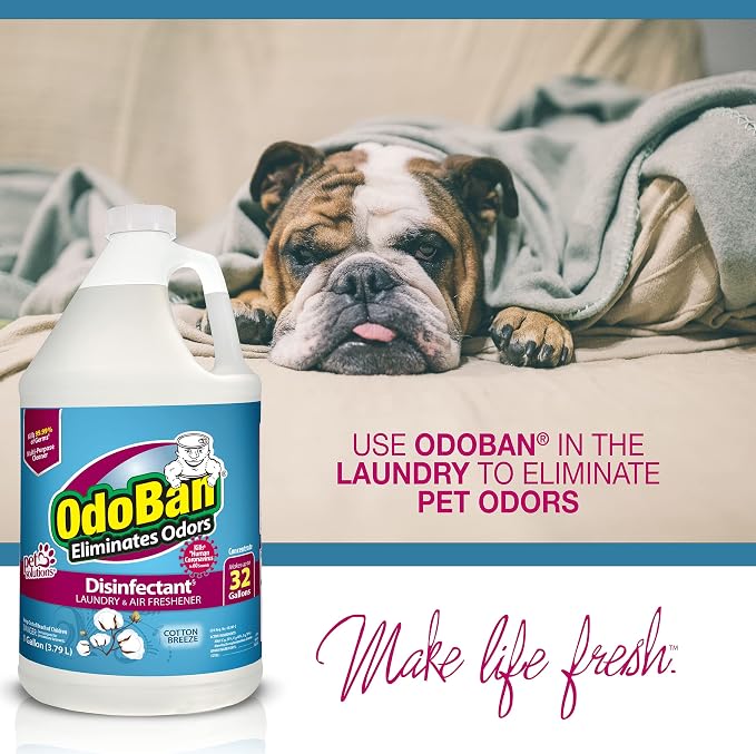 OdoBan Disinfectant Concentrate and Odor Eliminator, Made in the USA, Cotton - Image 5