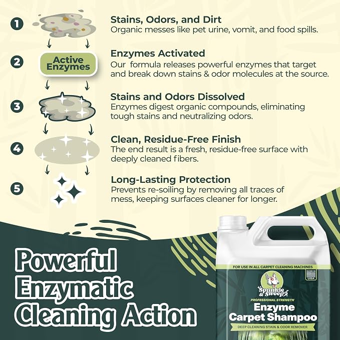Enzyme Carpet Cleaner - Image 2