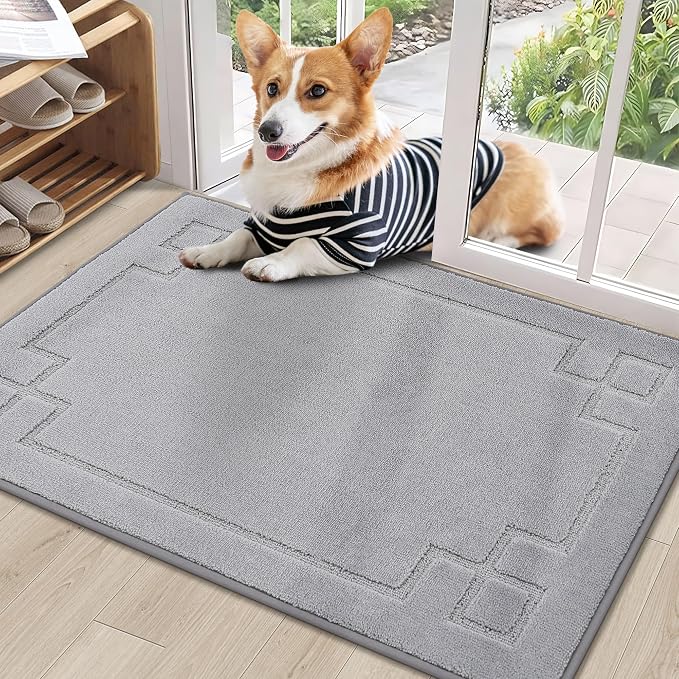 BEQHAUSE Door Mat 24" x 36", Non-Slip Door Mats Indoor Entryway Rugs Washable by BEQHAUSE