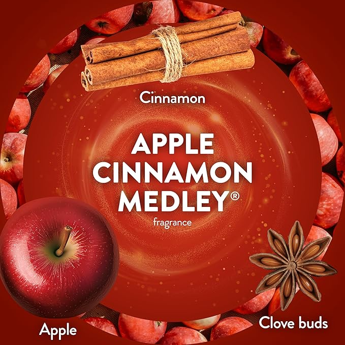 Air Wick Plug in Scented Oil Refill, Apple Cinnamon Medley, Fall Scent - Image 4